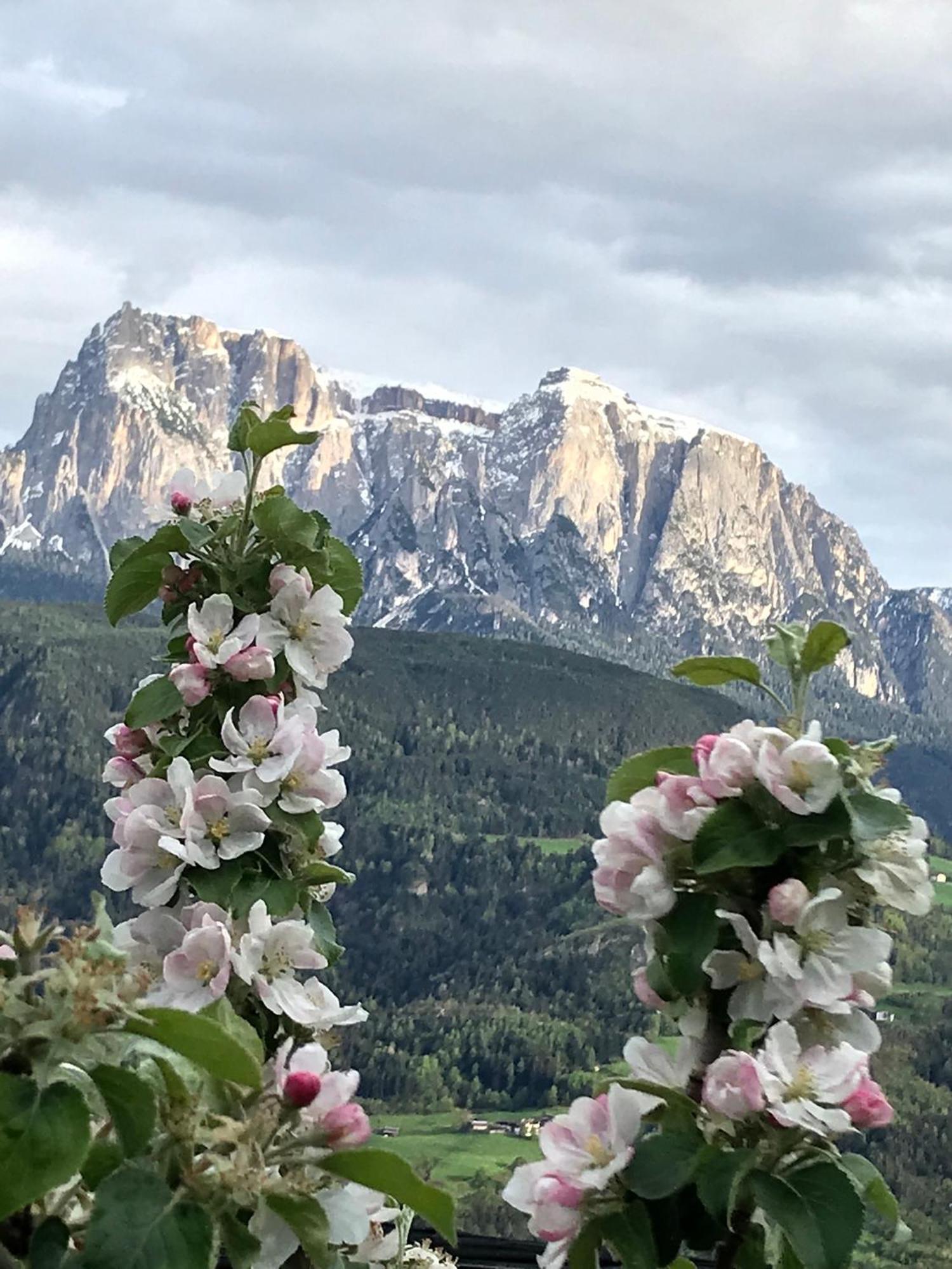 Gasserhof Barbiano  Exteriör bild