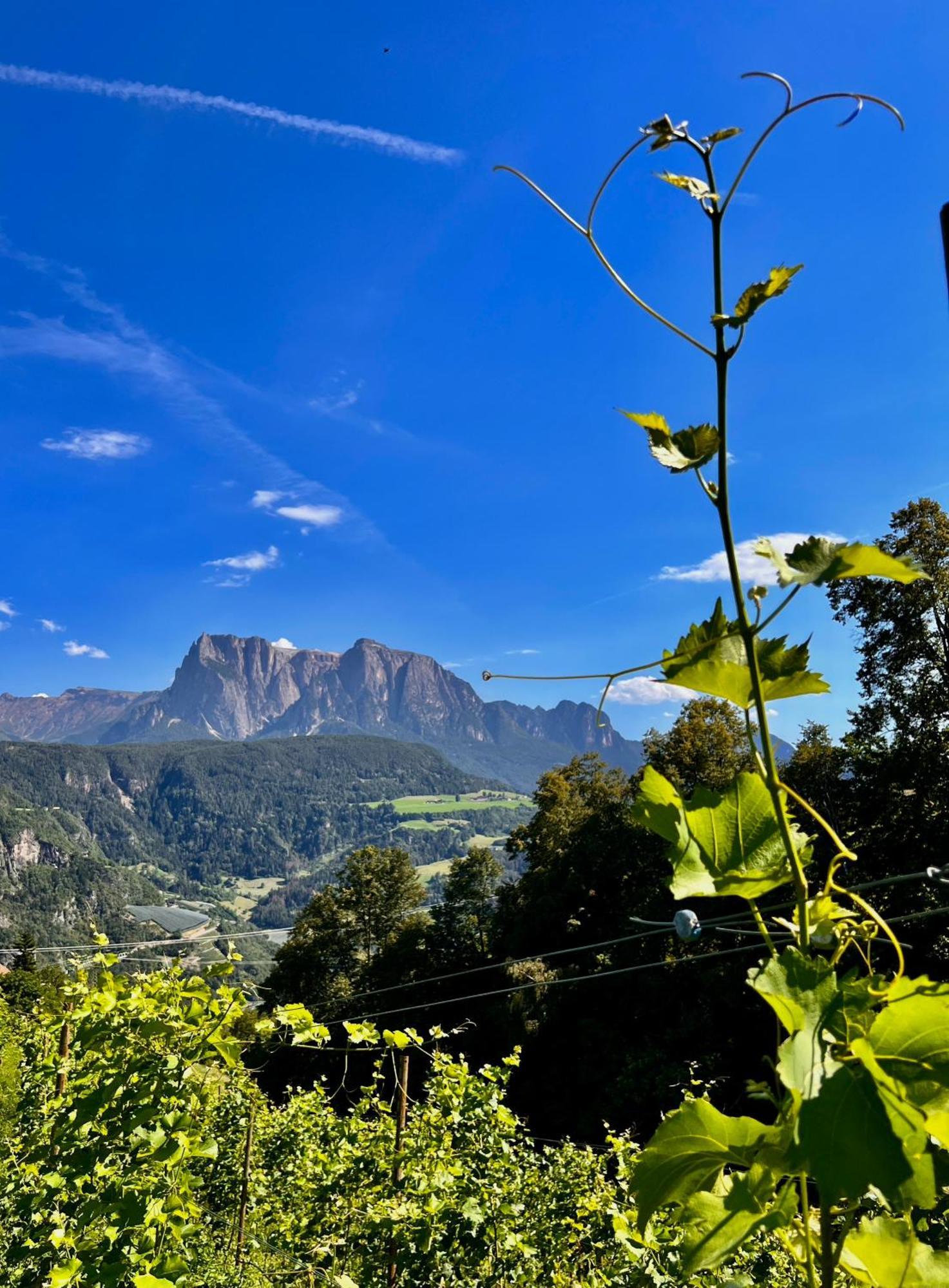 Gasserhof Barbiano  Exteriör bild
