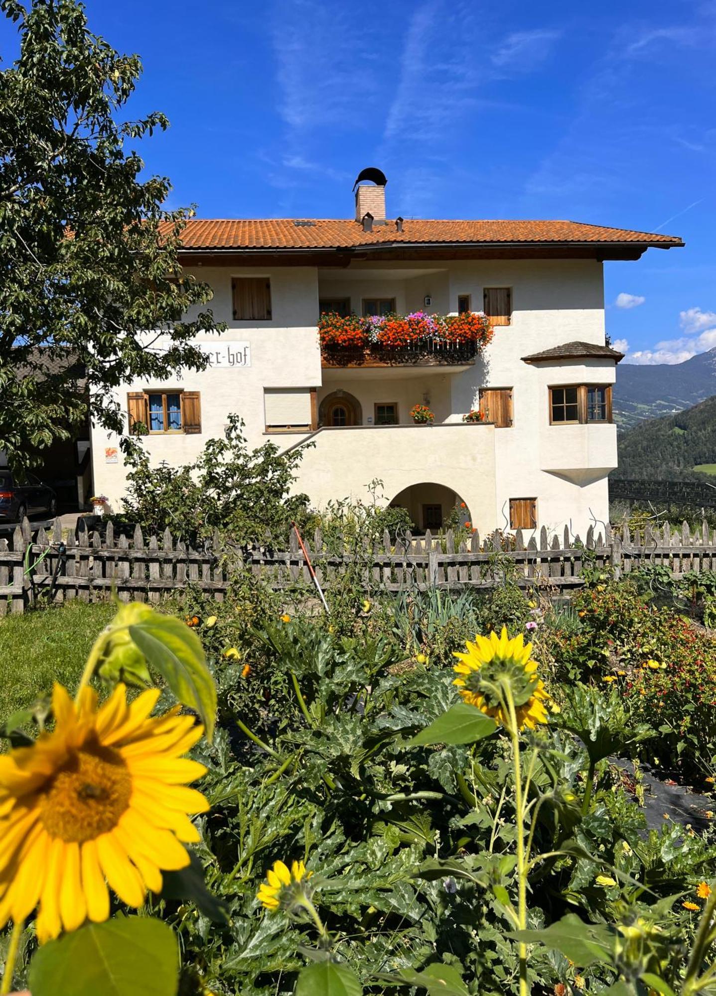 Gasserhof Barbiano  Exteriör bild