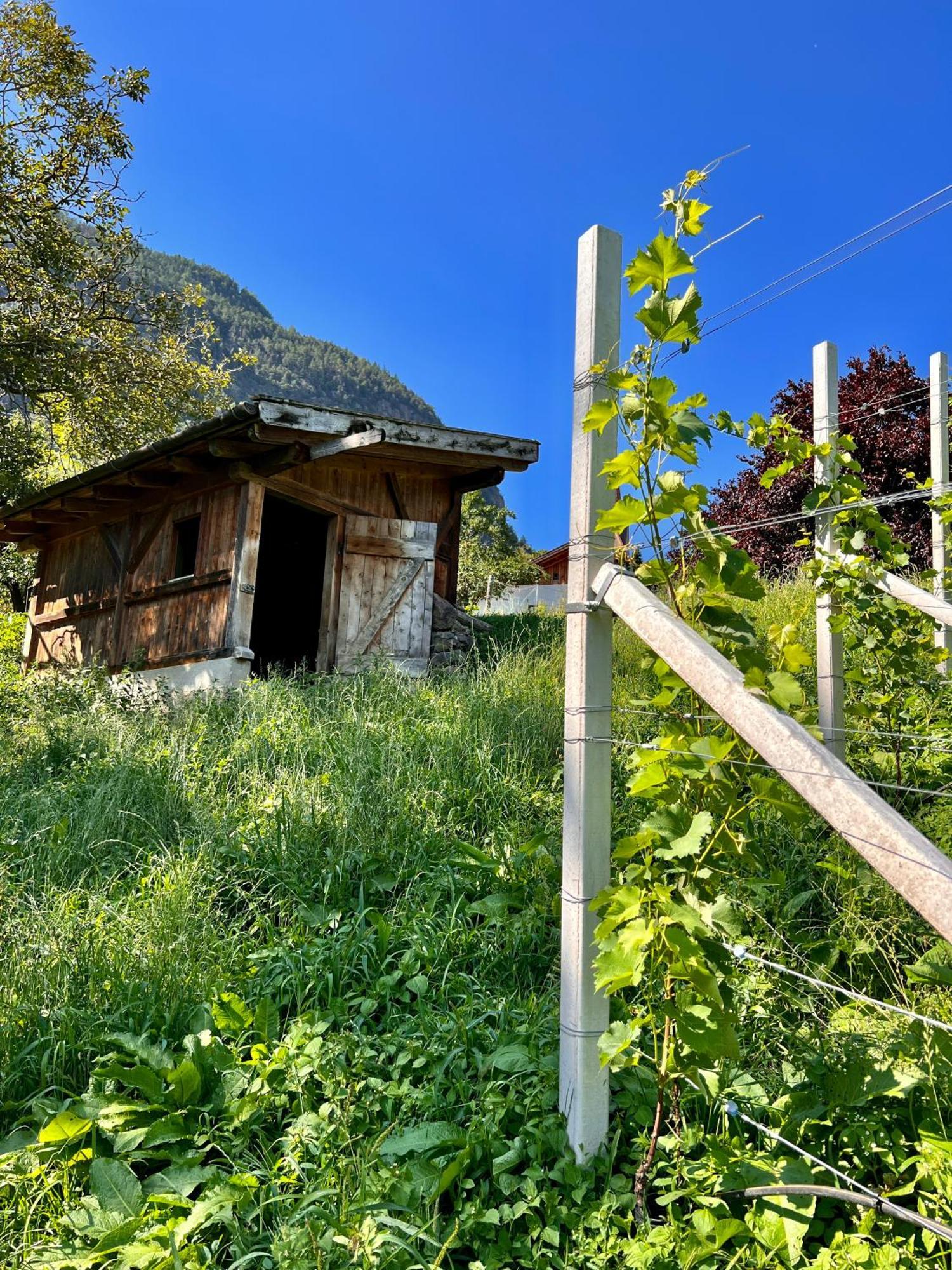 Gasserhof Barbiano  Exteriör bild